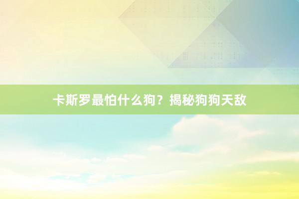 卡斯罗最怕什么狗？揭秘狗狗天敌